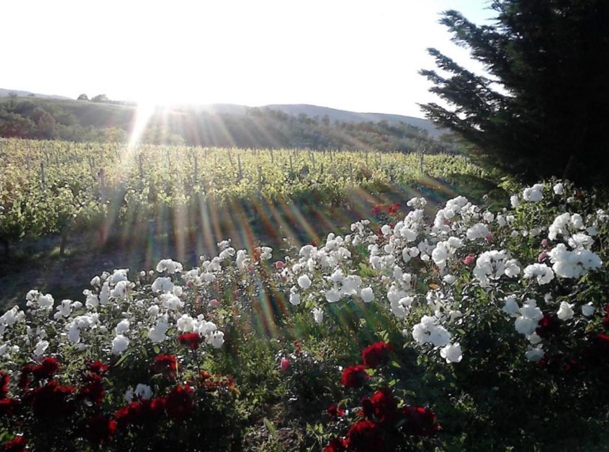 Agriturismo Fattoria Il Piano - Casa Tosca - San Gimignano Buitenkant foto
