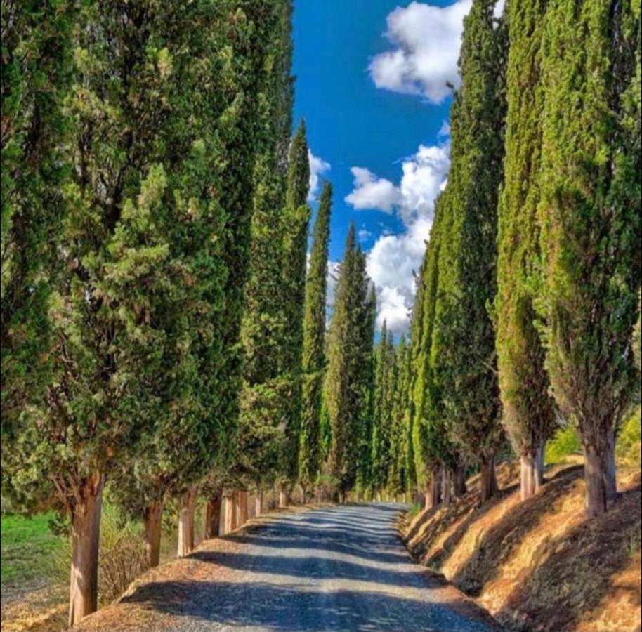 Agriturismo Fattoria Il Piano - Casa Tosca - San Gimignano Buitenkant foto